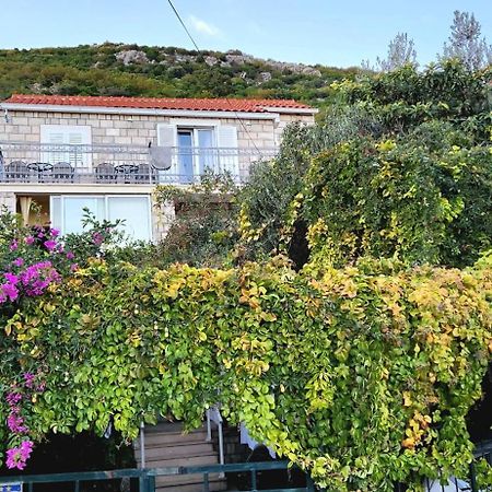 Tranquility And Nature In 4 Bedroom With Sea View Mokošica Exteriör bild